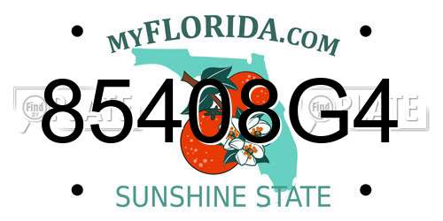 85408G4 Florida License Plate
