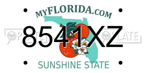 8541XZ Florida License Plate