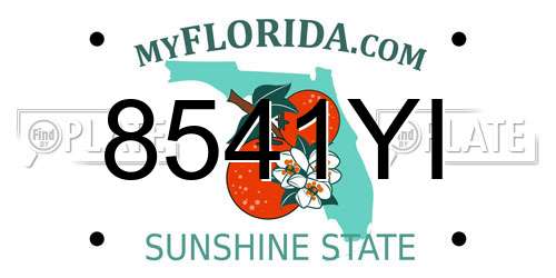 8541YI Florida License Plate
