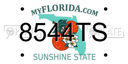 8544TS Florida License Plate