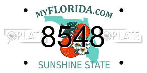 8548 Florida License Plate