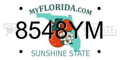 8548YM Florida License Plate