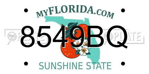 8549BQ Florida License Plate