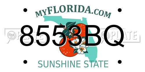 8553BQ Florida License Plate