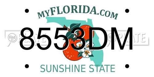 8553DM Florida License Plate