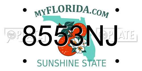 8553NJ Florida License Plate