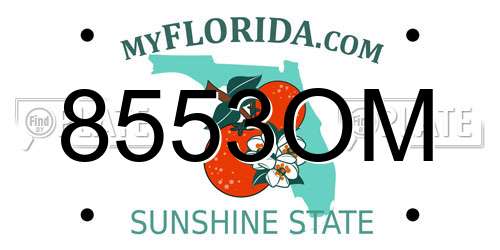 8553OM Florida License Plate