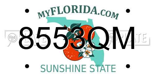 8553QM Florida License Plate