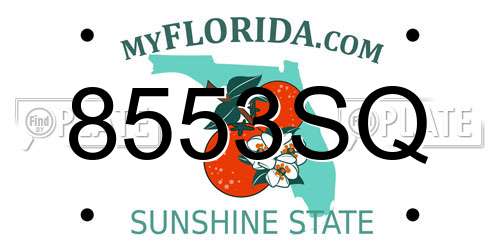 8553SQ Florida License Plate