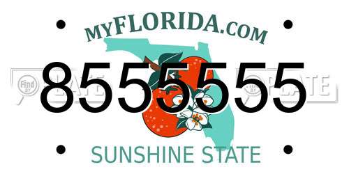 8555555 Florida License Plate