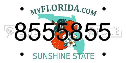 8555855 Florida License Plate