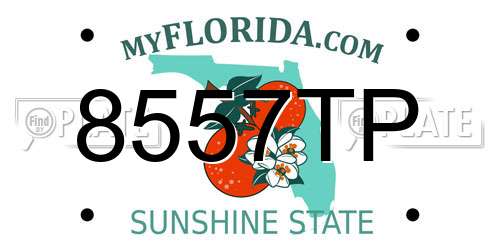 8557TP Florida License Plate