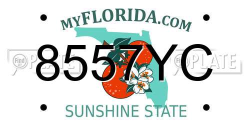 8557YC Florida License Plate