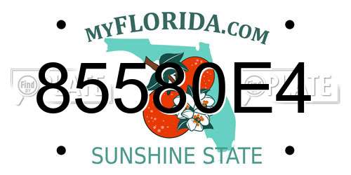85580E4 Florida License Plate