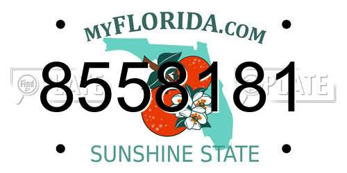 8558181 Florida License Plate