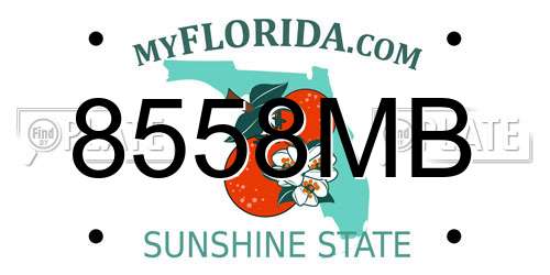8558MB Florida License Plate