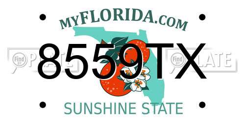 8559TX Florida License Plate