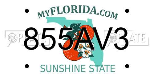 855AV3 Florida License Plate