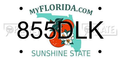 855DLK Florida License Plate