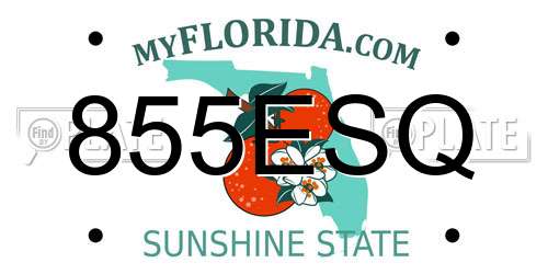 855ESQ Florida License Plate