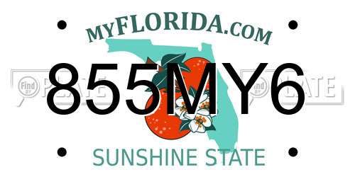 855MY6 Florida License Plate