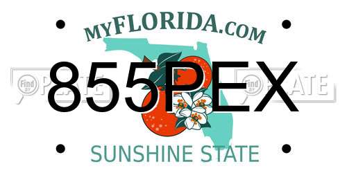 855PEX Florida License Plate