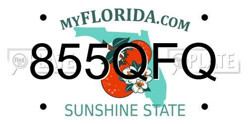 855QFQ Florida License Plate