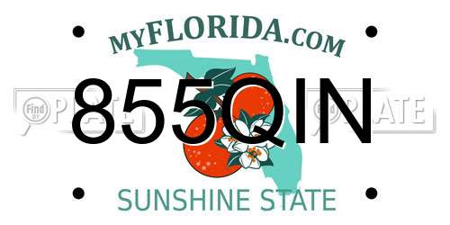855QIN Florida License Plate