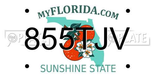 855TJV Florida License Plate