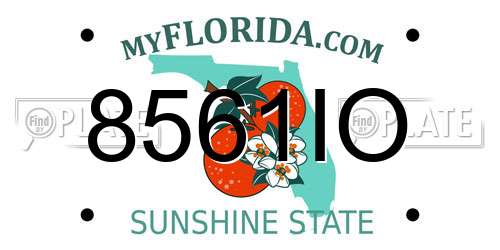 8561IO Florida License Plate