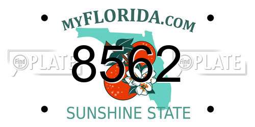8562 Florida License Plate