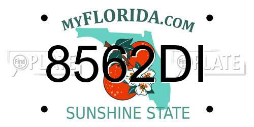 8562DI Florida License Plate
