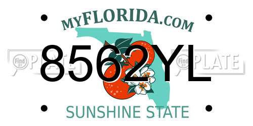 8562YL Florida License Plate