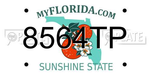 8564TP Florida License Plate