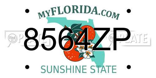 8564ZP Florida License Plate
