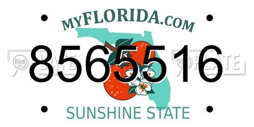 8565516 Florida License Plate