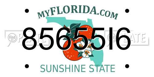 85655I6 Florida License Plate
