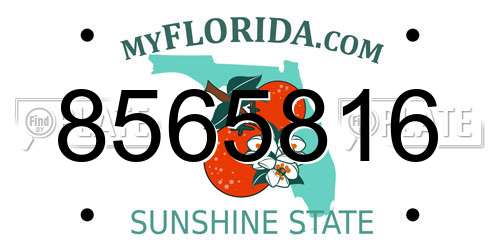 8565816 Florida License Plate