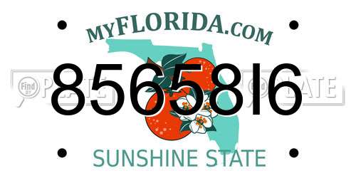 85658I6 Florida License Plate