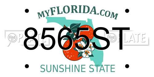 8565ST Florida License Plate