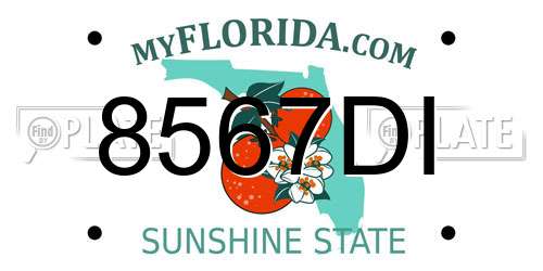 8567DI Florida License Plate