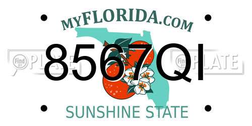 8567QI Florida License Plate