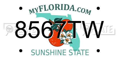 8567TW Florida License Plate
