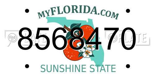 8568470 Florida License Plate