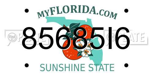 85685I6 Florida License Plate