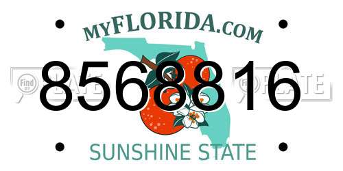 8568816 Florida License Plate