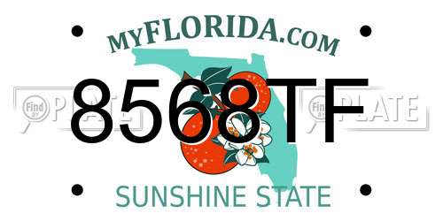 8568TF Florida License Plate