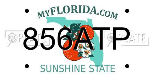 856ATP Florida License Plate