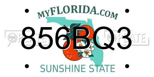 856BQ3 Florida License Plate