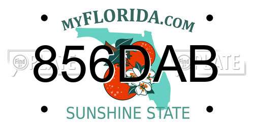 856DAB Florida License Plate